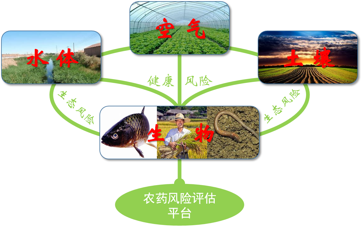 农业科技创新，风险、与应对之道,农产品科技风险,科技风险是指,第1张